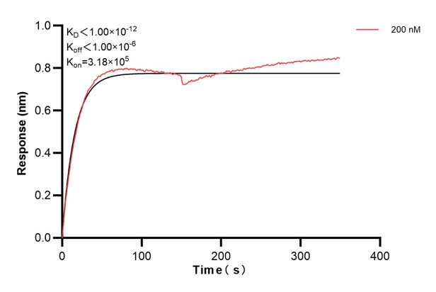 Affinity and Kinetic Characterization of 60557-1-PBS