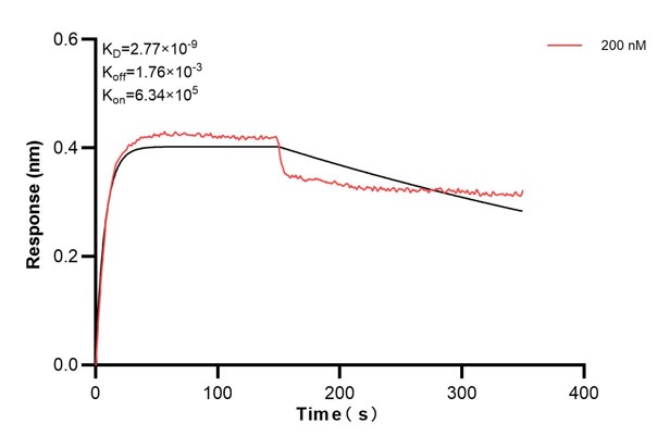 Affinity and Kinetic Characterization of 60557-2-PBS Affinity and Kinetic Characterization of 60557-2-PBS