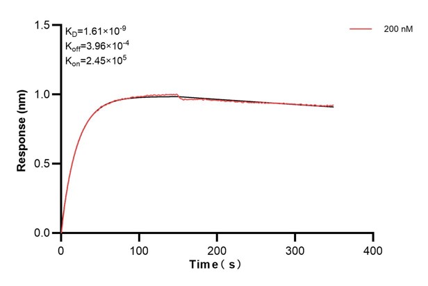 Affinity and Kinetic Characterization of 60557-4-PBS Affinity and Kinetic Characterization of 60557-4-PBS