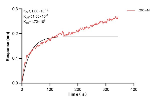 Affinity and Kinetic Characterization of 60595-3-PBS