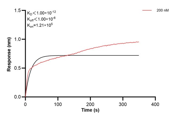 Affinity and Kinetic Characterization of 60621-1-PBS Affinity and Kinetic Characterization of 60621-1-PBS