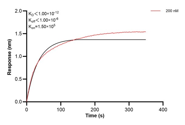 Affinity and Kinetic Characterization of 60621-2-PBS Affinity and Kinetic Characterization of 60621-2-PBS