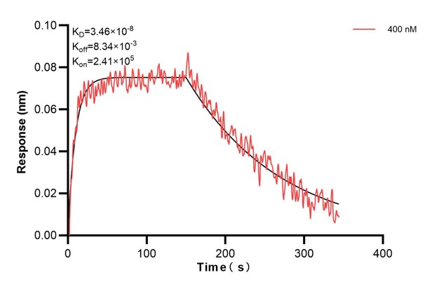 Affinity and Kinetic Characterization of 60623-1-PBS