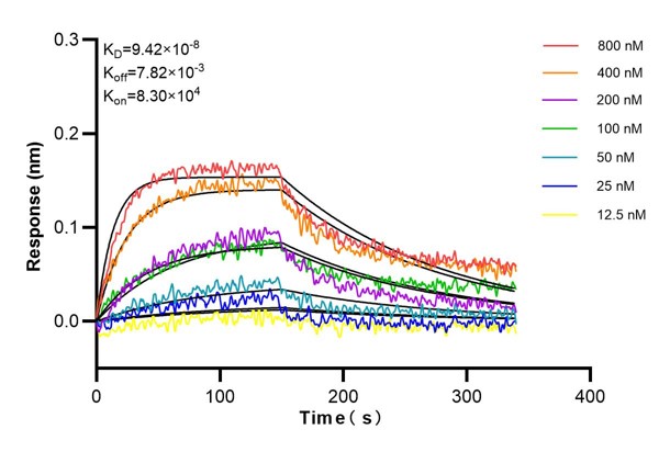 Affinity and Kinetic Characterization of 60624-5-PBS