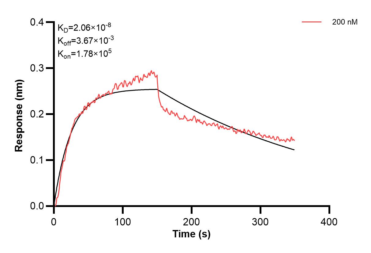 Affinity and Kinetic Characterization of 60637-3-PBS Affinity and Kinetic Characterization of 60637-3-PBS