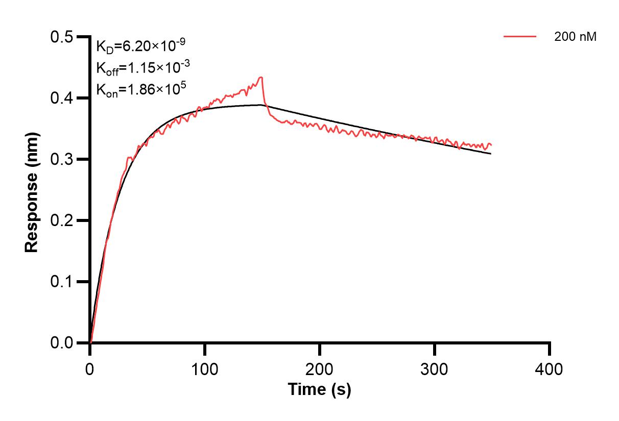 Affinity and Kinetic Characterization of 60637-5-PBS