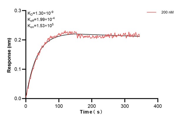 Affinity and Kinetic Characterization of 60640-2-PBS