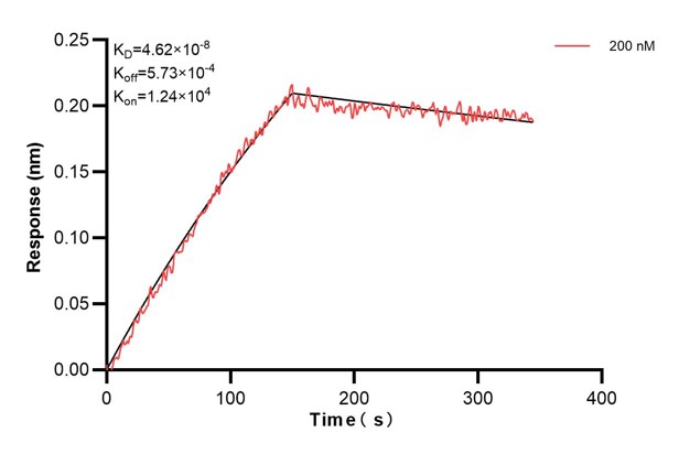 Affinity and Kinetic Characterization of 60642-2-PBS