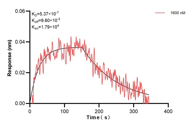 Affinity and Kinetic Characterization of 60645-4-PBS Affinity and Kinetic Characterization of 60645-4-PBS