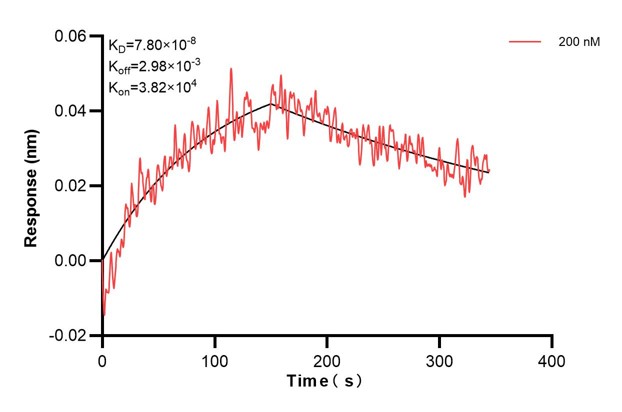 Affinity and Kinetic Characterization of 60651-3-PBS
