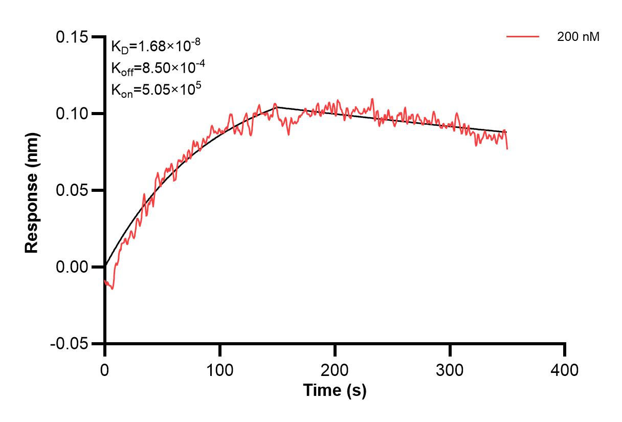 Affinity and Kinetic Characterization of 60664-2-PBS