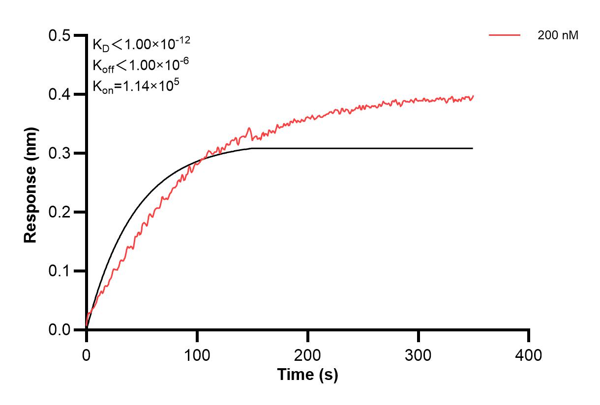 Affinity and Kinetic Characterization of 60664-4-PBS Affinity and Kinetic Characterization of 60664-4-PBS