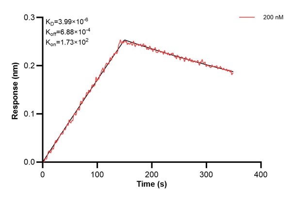 Affinity and Kinetic Characterization of 60665-1-PBS