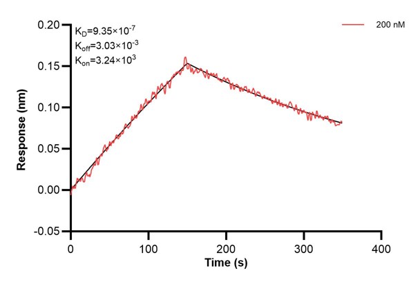 Affinity and Kinetic Characterization of 60665-2-PBS