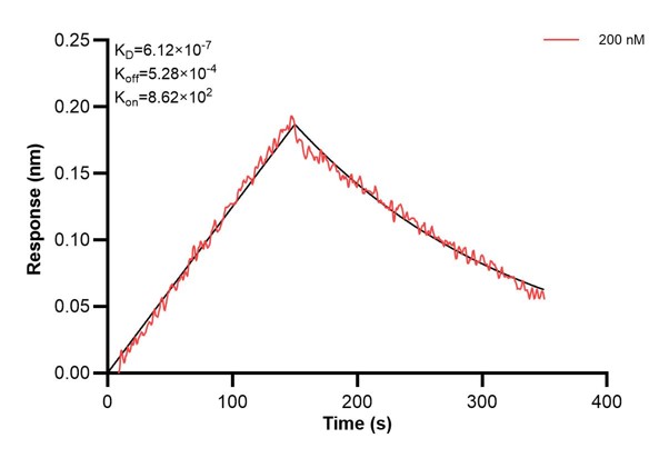 Affinity and Kinetic Characterization of 60665-3-PBS Affinity and Kinetic Characterization of 60665-3-PBS