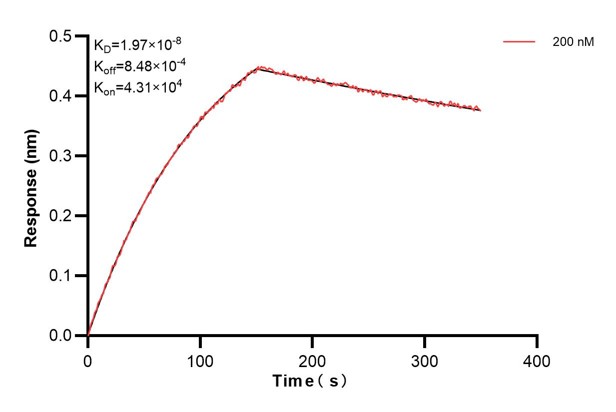 Affinity and Kinetic Characterization of 60667-3-PBS Affinity and Kinetic Characterization of 60667-3-PBS