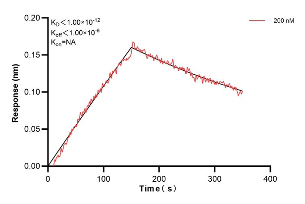 Affinity and Kinetic Characterization of 60667-4-PBS Affinity and Kinetic Characterization of 60667-4-PBS