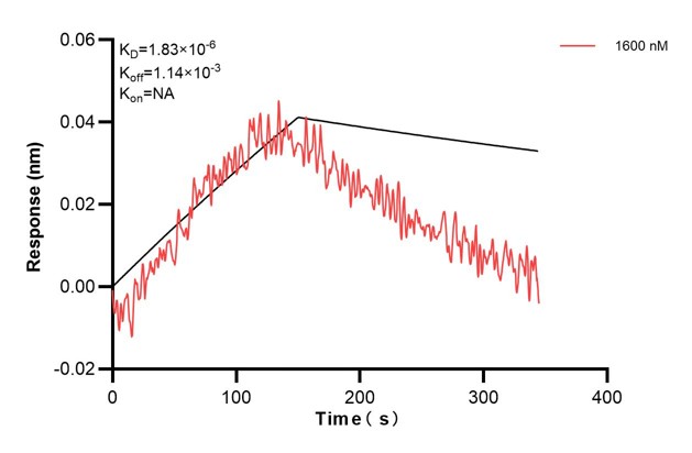 Biolayer interferometry (BLl) kinetic assay of <a class='green' href='/productredirect?CatalogNo=60668-2-Ig' target='_blank'>60668-2-Ig</a> against Human IGF2 was performed. The affinity constant is below 1 pM. Affinity and Kinetic Characterization of 60668-2-PBS