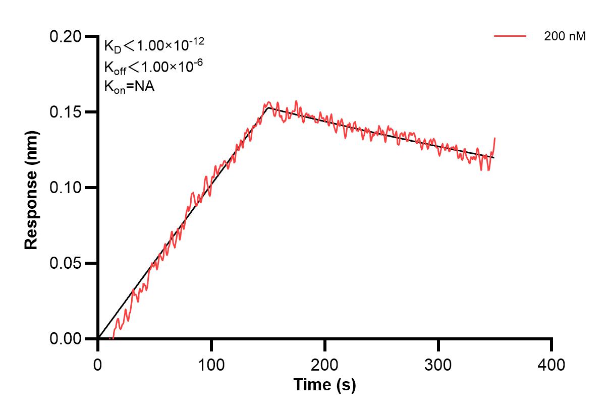 Affinity and Kinetic Characterization of 60677-1-PBS Affinity and Kinetic Characterization of 60677-1-PBS