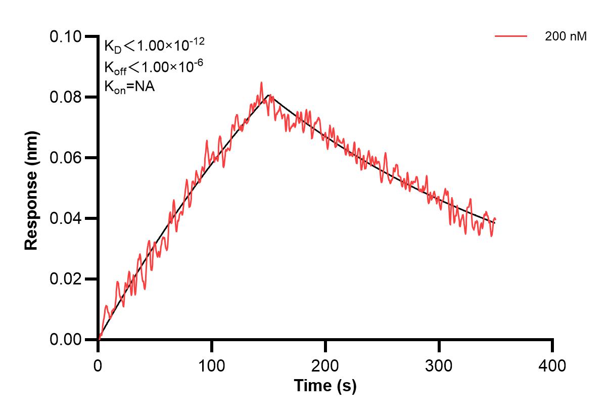 Affinity and Kinetic Characterization of 60677-3-PBS Affinity and Kinetic Characterization of 60677-3-PBS
