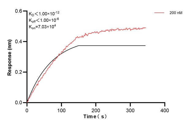 Affinity and Kinetic Characterization of 60678-1-PBS
