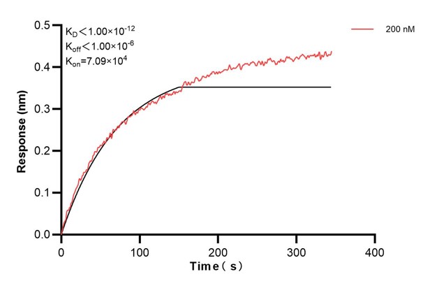 Affinity and Kinetic Characterization of 60678-2-PBS