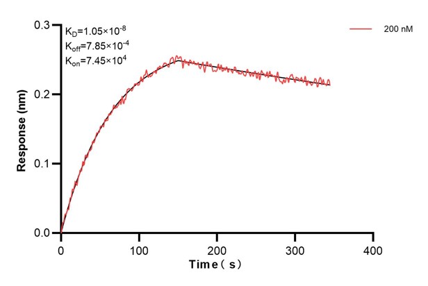 Affinity and Kinetic Characterization of 60684-3-PBS