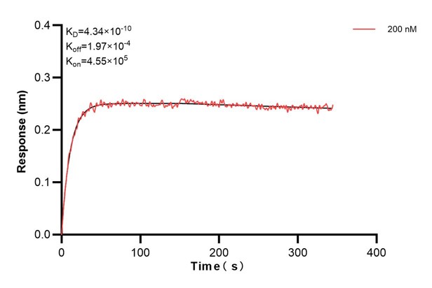 Affinity and Kinetic Characterization of 60695-1-PBS