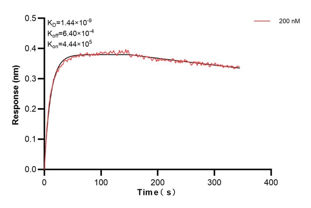 Affinity and Kinetic Characterization of 60695-2-PBS