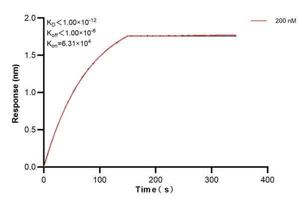 Affinity and Kinetic Characterization of 60699-1-PBS