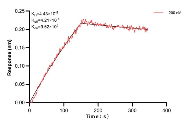 Affinity and Kinetic Characterization of 60712-1-PBS