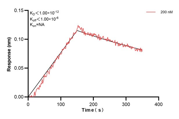 Affinity and Kinetic Characterization of 60715-1-PBS Affinity and Kinetic Characterization of 60715-1-PBS