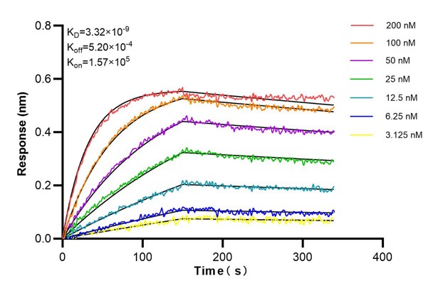 Affinity and Kinetic Characterization of 60718-2-PBS