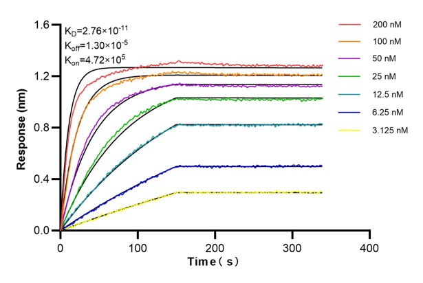 Affinity and Kinetic Characterization of 60748-2-PBS