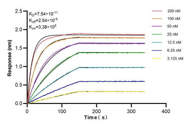 Affinity and Kinetic Characterization of 60748-3-PBS