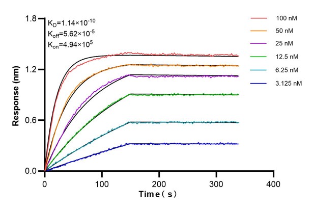 Affinity and Kinetic Characterization of 60748-4-PBS