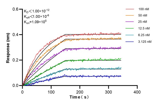 Affinity and Kinetic Characterization of 60751-2-PBS