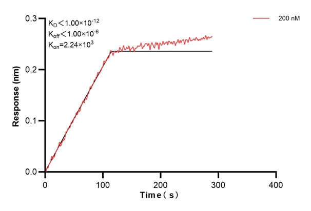 Biolayer interferometry (BLl) kinetic assays of <a class='green' href='/productredirect?CatalogNo=60756-2-Ig' target='_blank'>60756-2-Ig</a> against Human NUCB2 were performed. The affinity constant is below 1 pM. Affinity and Kinetic Characterization of 60756-2-PBS