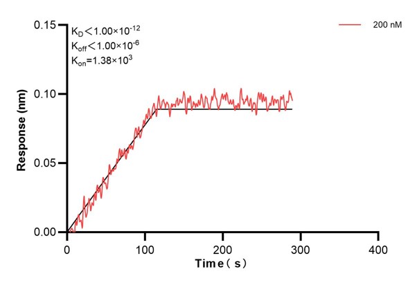 Biolayer interferometry (BLl) kinetic assays of <a class='green' href='/productredirect?CatalogNo=60756-4-Ig' target='_blank'>60756-4-Ig</a> against Human NUCB2 were performed. The affinity constant is below 1 pM. Affinity and Kinetic Characterization of 60756-4-PBS