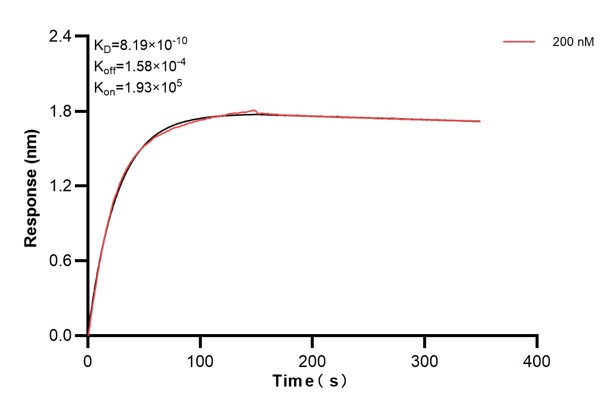 Affinity and Kinetic Characterization of 60761-6-PBS Affinity and Kinetic Characterization of 60761-6-PBS