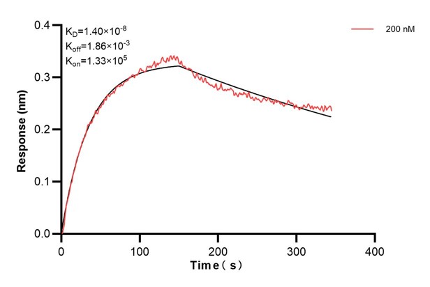 Affinity and Kinetic Characterization of 60774-4-PBS