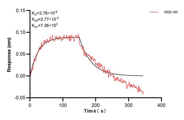 Affinity and Kinetic Characterization of 60774-5-PBS