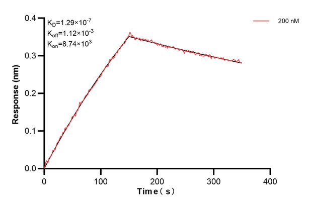 Affinity and Kinetic Characterization of 60779-1-PBS
