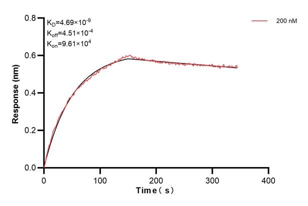 Affinity and Kinetic Characterization of 60785-2-PBS
