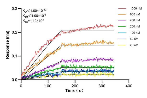 Affinity and Kinetic Characterization of 60792-1-PBS