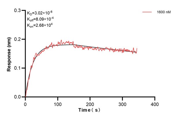 Affinity and Kinetic Characterization of 60795-1-PBS