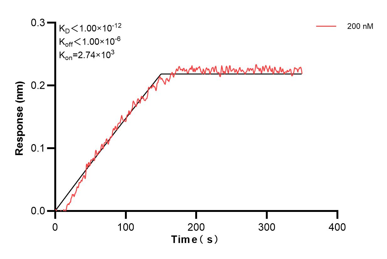 Affinity and Kinetic Characterization of 60797-1-PBS Affinity and Kinetic Characterization of 60797-1-PBS