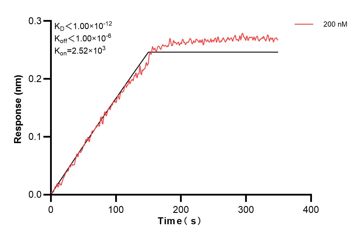 Affinity and Kinetic Characterization of 60797-3-PBS Affinity and Kinetic Characterization of 60797-3-PBS