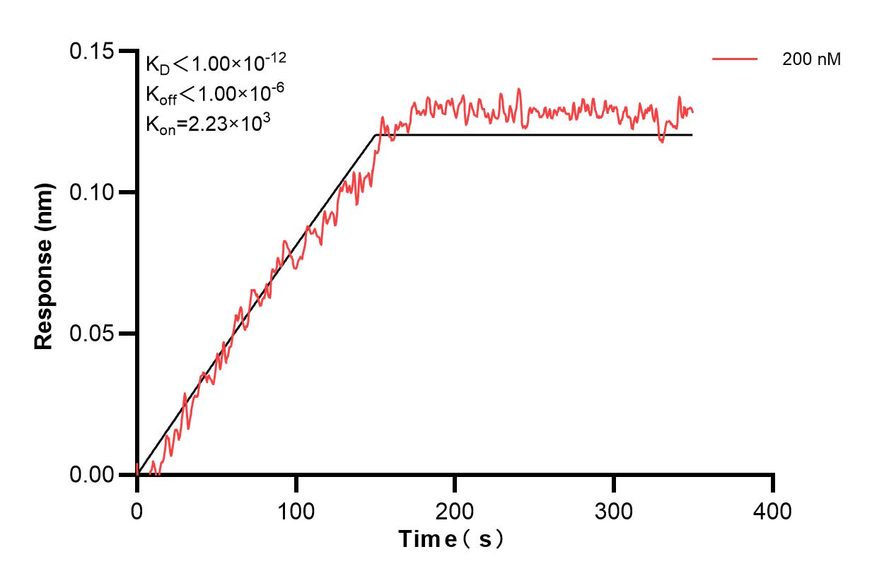 Affinity and Kinetic Characterization of 60797-4-PBS Affinity and Kinetic Characterization of 60797-4-PBS