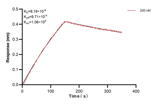 Affinity and Kinetic Characterization of 60813-2-PBS Affinity and Kinetic Characterization of 60813-2-PBS